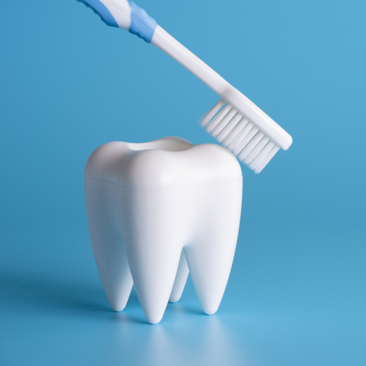 Dental Cleaning - Prophylaxis
